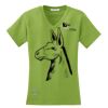 Ladies Modern Stretch Cotton V-Neck Shir Thumbnail